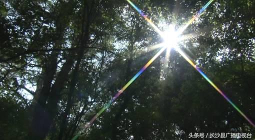 神奇的学校有哪些,神奇的学校完整版国语版