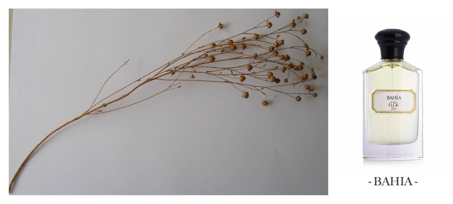 法国顶级奢侈品香水 (法国最香香水)