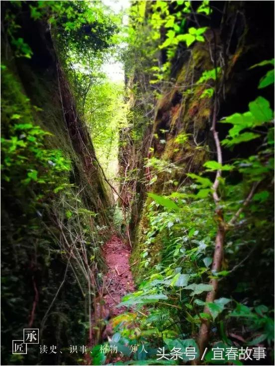 户外徒步赤山,万载赤兴一线天风景介绍