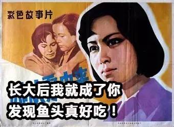 不要被假象所骗作文800字,不要被外表所欺骗作文