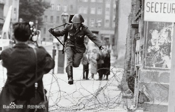 锤系德牧好还是赛级德牧好,为什么叫德牧狼狗
