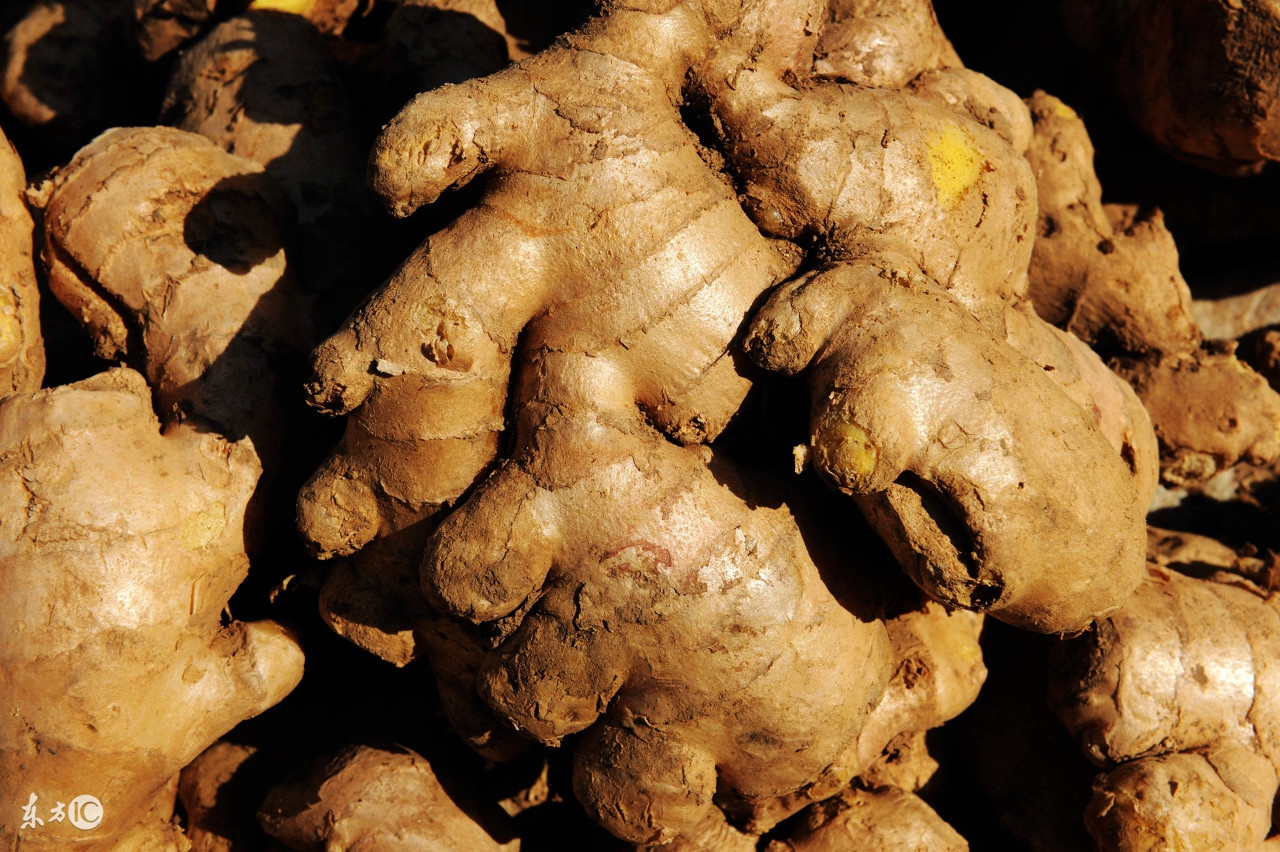 为什么不能只吃海鲜,吃海鲜的常识和禁忌你都知道吗