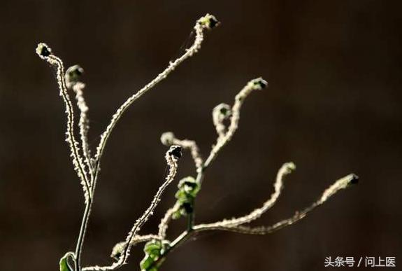 痛经有没有什么办法能缓解,痛经要喝什么有效果