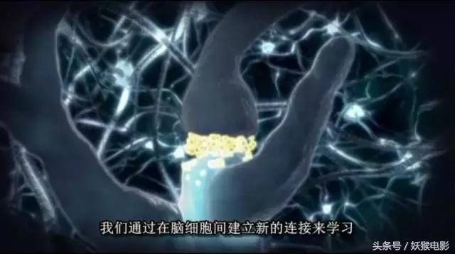 最震撼的纪录片bbc人体的奥秘,人体科普纪录片top10