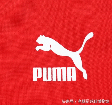 专业的足球鞋有哪几个品牌,曾经的足球鞋知名品牌有哪些