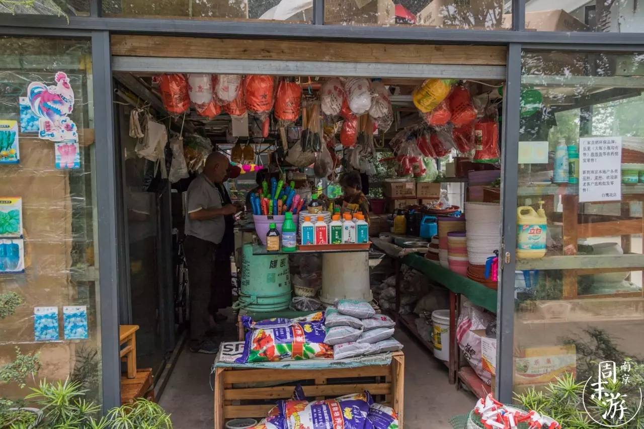 南京花鸟鱼虫市场,南京最大的花鸟虫市场