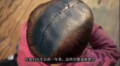 最震撼的纪录片bbc人体的奥秘,人体科普纪录片top10