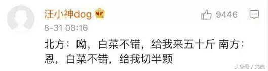 北方买菜vs南方买菜,南方北方买菜差异图片