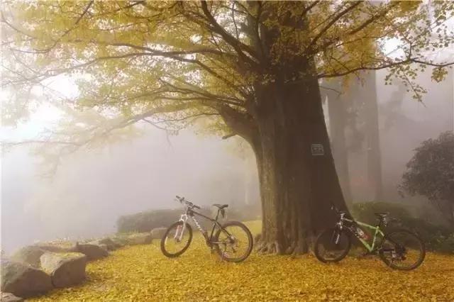 深山原始村落自驾游,大山深处古老村落自驾游