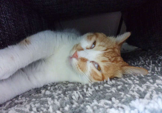 段子十则第四十七期,段子十则第十二集