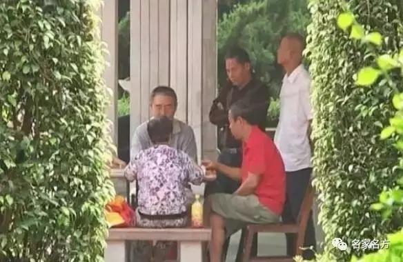 你的骨头正在泡沫化！知名康复专家：一颗洋葱就能帮你找回骨本