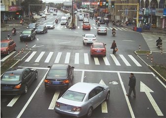 交通违章3019代码是什么罚款多少,违章编码怎么看扣几分