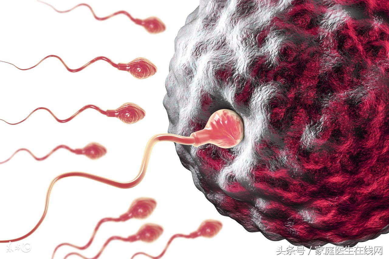 养精固肾的最佳食物,这3种食物值得吃