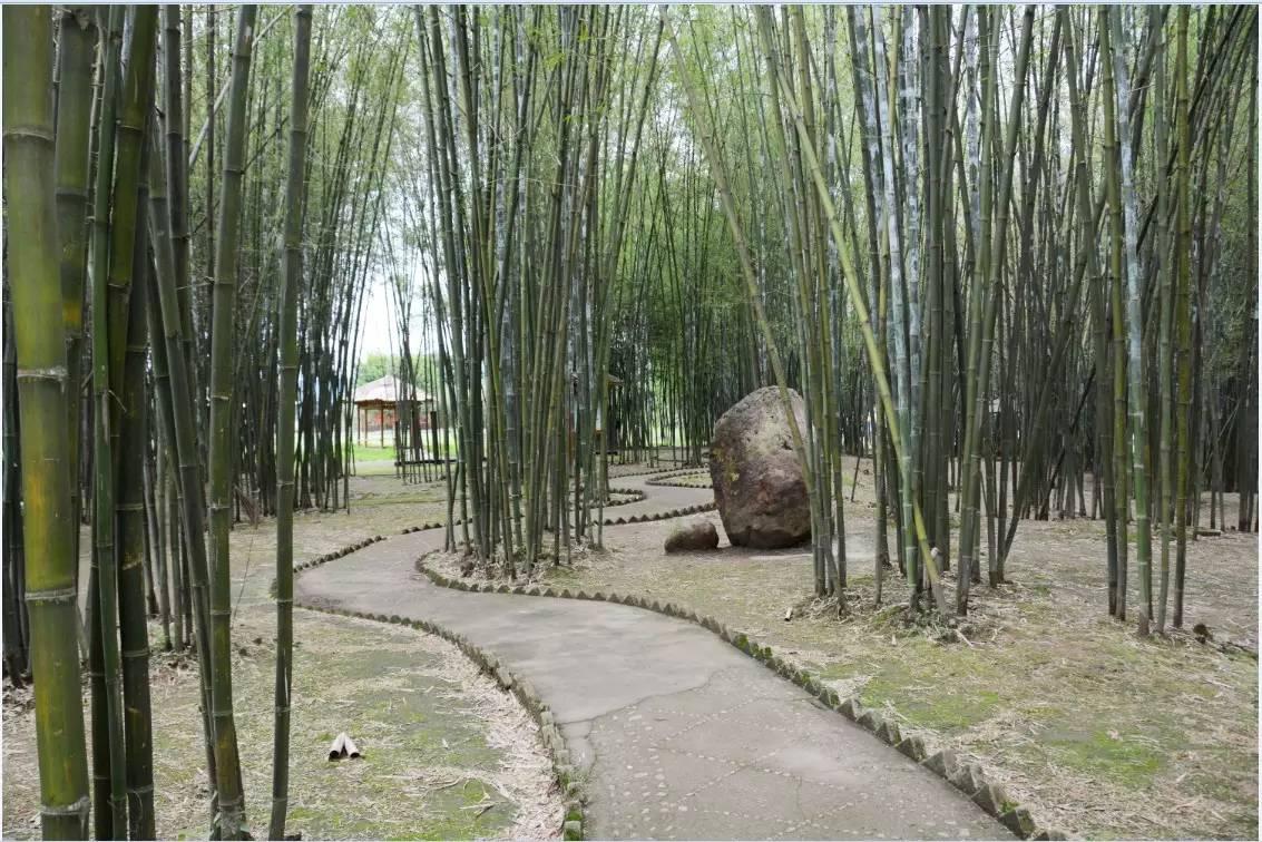 澶╀笅璞℃妫嬪瓙,澶╀笅璞℃妫嬭氨澶у叏