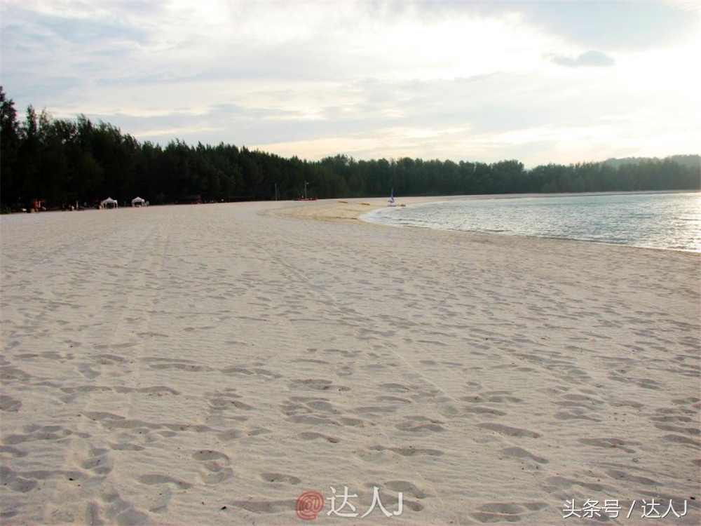 达人J:新马声色任逍遥