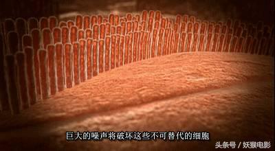 最震撼的纪录片bbc人体的奥秘,人体科普纪录片top10