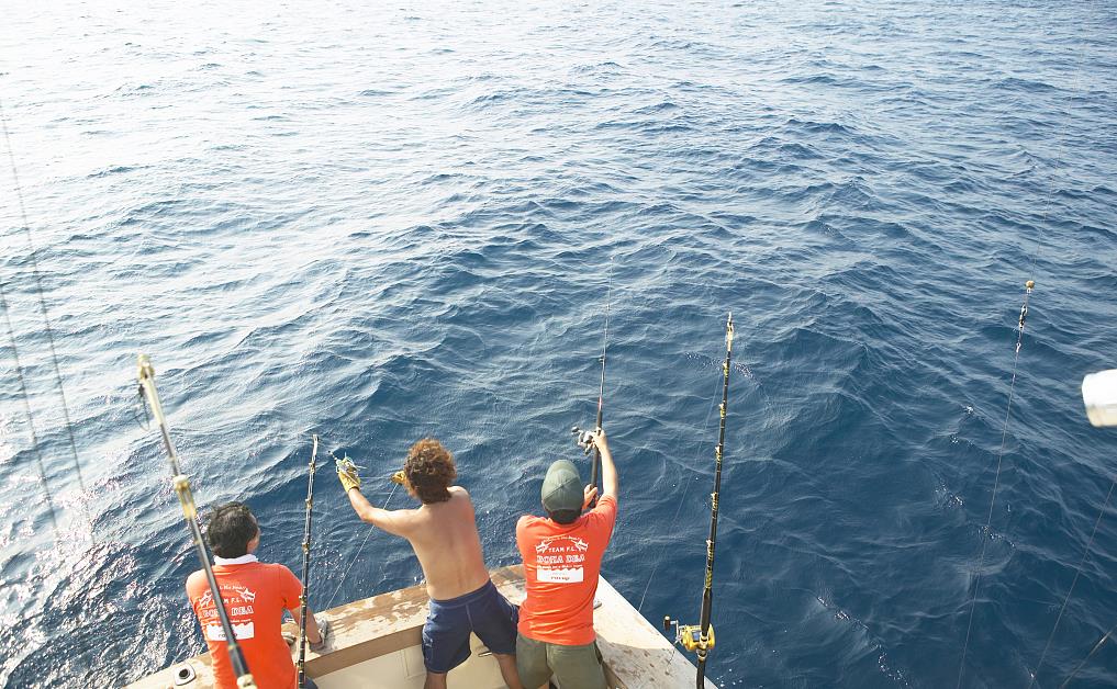 留在北京的80后北漂,北京80后都去哪里工作了