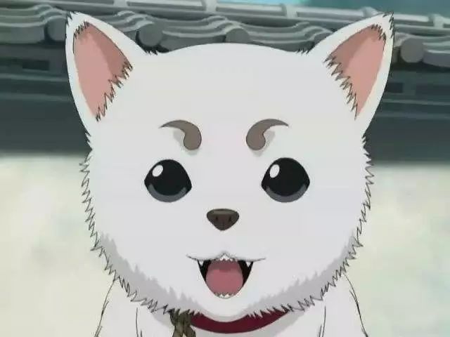 银魂真人版零基础能看吗,银魂真人版日常篇