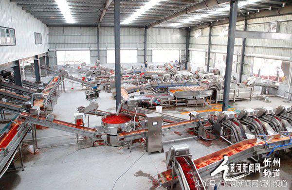 2021忻州辣椒基地,忻州辣椒产业园在哪