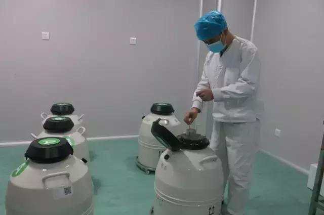 太神奇！生殖医学博士揭秘试管婴儿全过程！