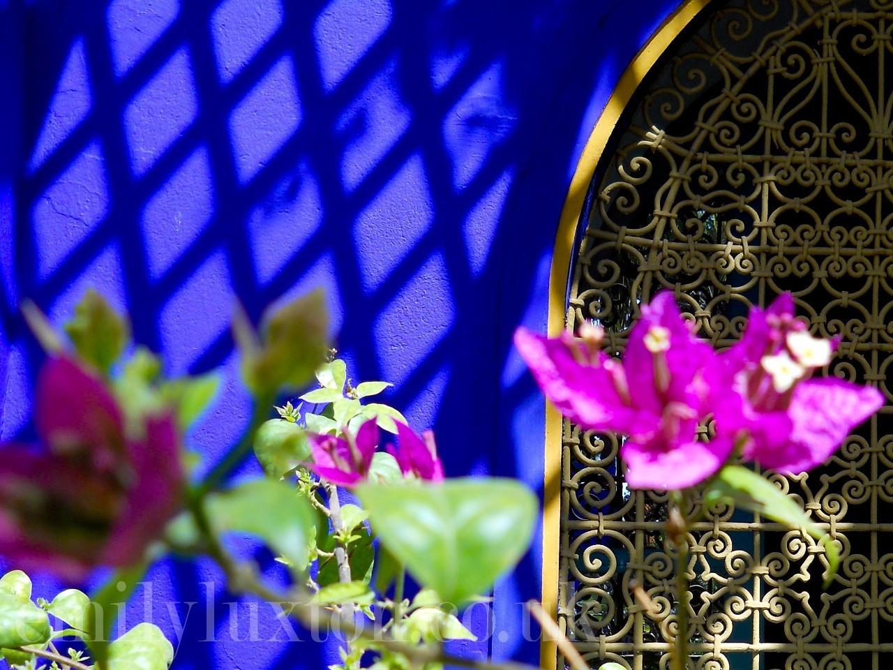 ysl时装视频,2024春夏时装秀ysl