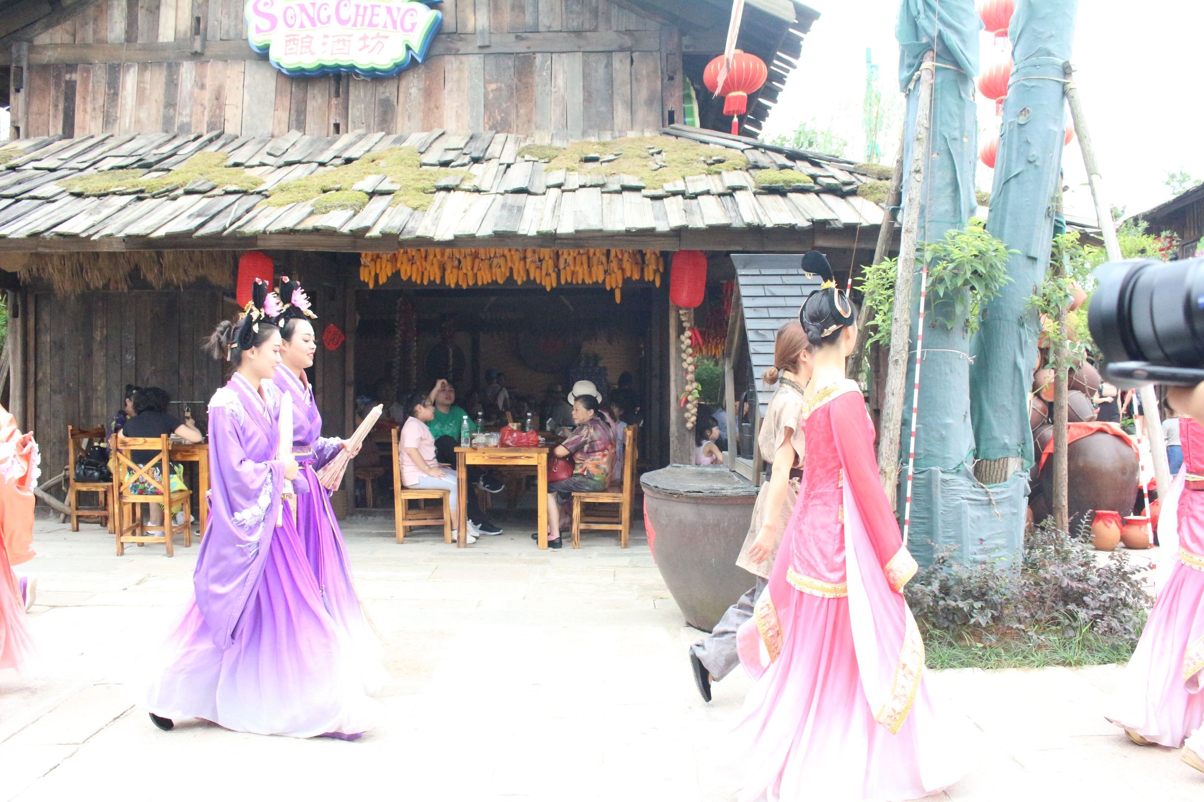 宋城炭河古城旅游攻略,宋城炭河古城简介