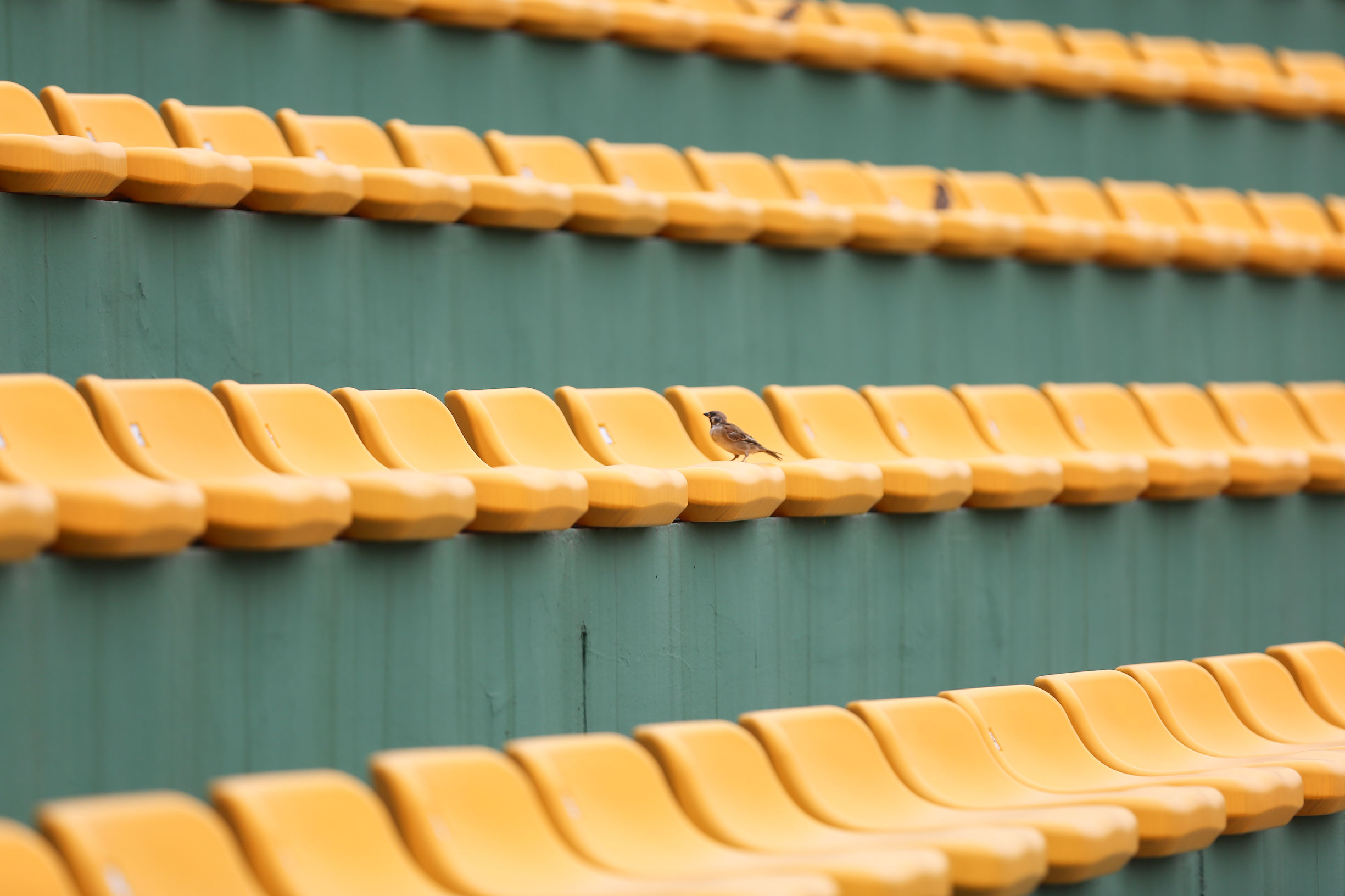 谢震业突破10秒夺冠,女子足球比赛片段