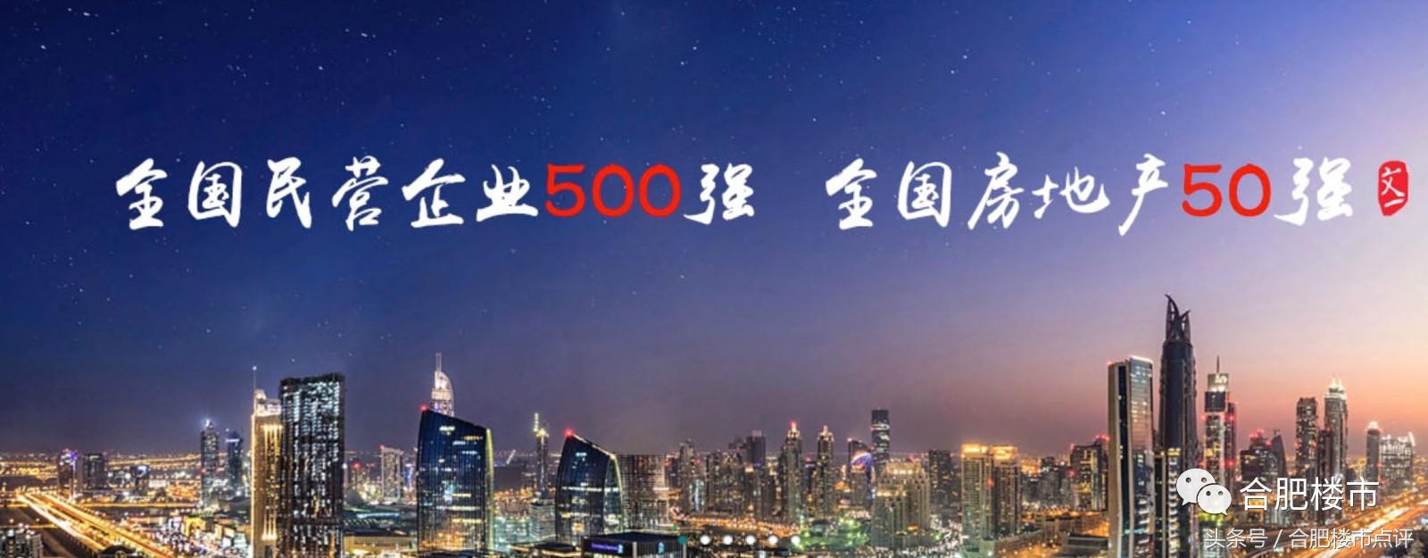 文一资金链危机,文一财报