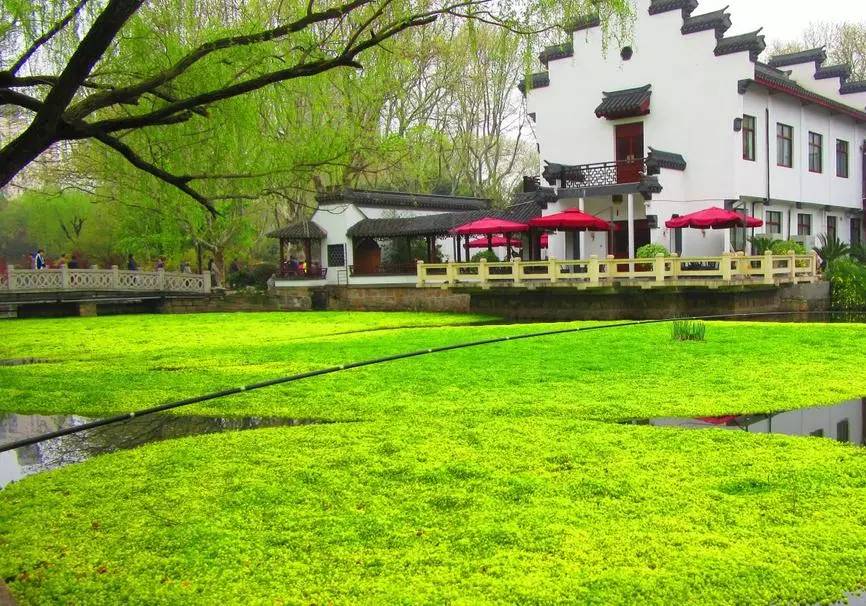 上海非沪籍有哪些证,上海户籍政策