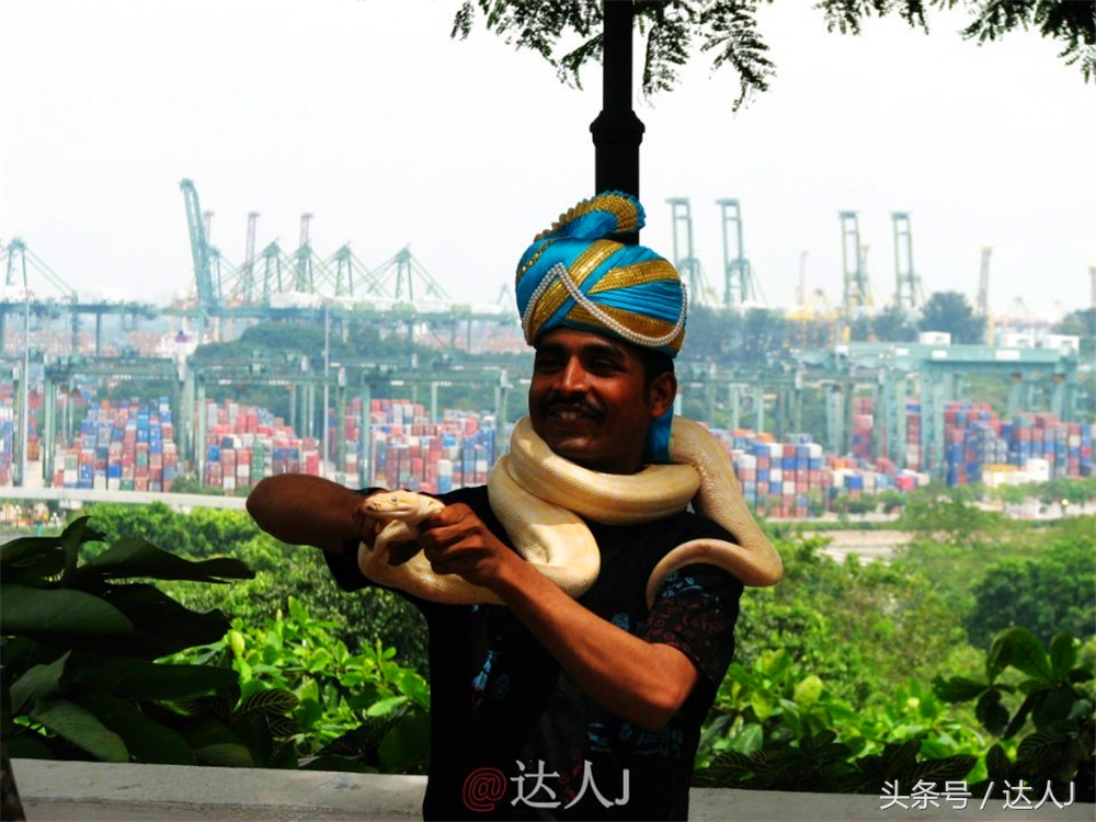 达人J:新马声色任逍遥