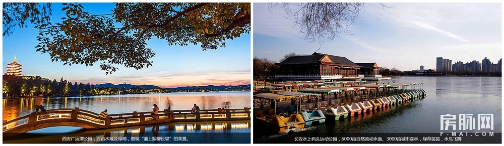 西安市浐灞生态区新优质小学,浐灞优质学区房