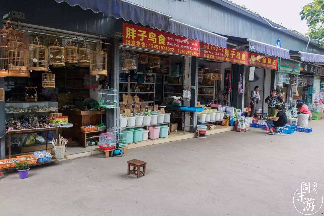 南京的花鸟市场在什么地方,南京夫子庙花鸟鱼虫市场