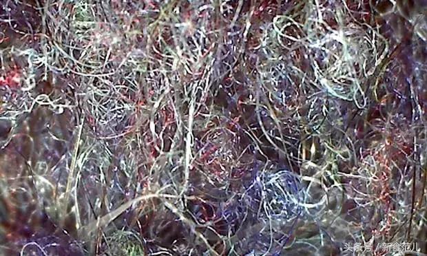 等了80年,巧克力界终于推出“粉红”新番|一周食报