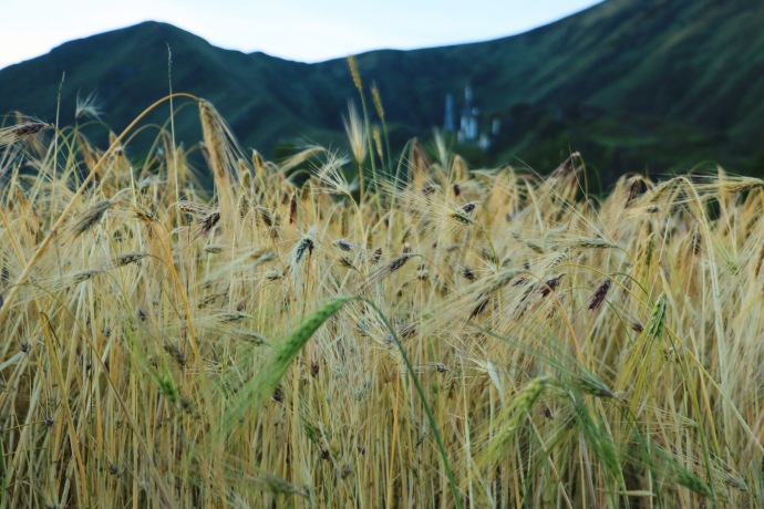 小白入门相机怎么选购视频,佳能相机开箱注意事项