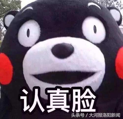 洛阳市区免费又好玩的地方推荐,洛阳附近有没有什么好玩的地方