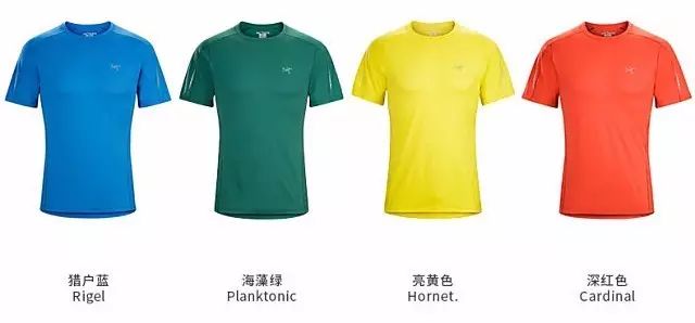 始祖鸟户外鸟,始祖鸟龙年限定户外品牌