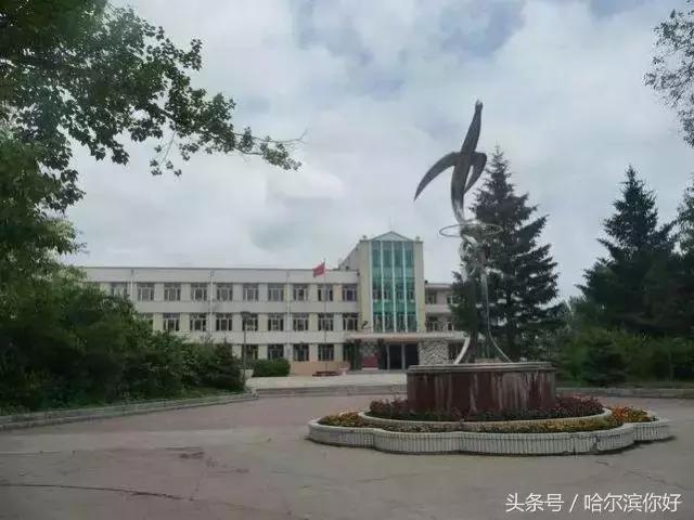 哈尔滨最舒服大厅,哈尔滨哪个区住店便宜