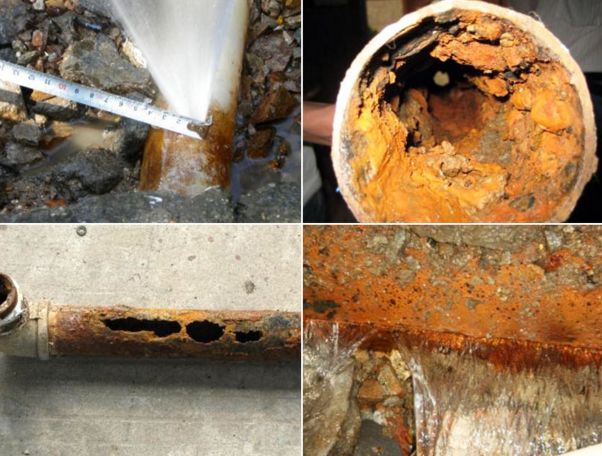 怎么有效杀死土里的虫子,杀死虫子办法有哪些呢