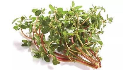 成人秋季腹泻的偏方,儿童秋季腹泻的防治方法