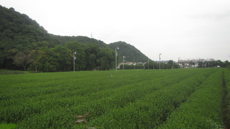 苏州西塘乌镇二日游团从杭州出发,苏州西塘乌镇二日一夜