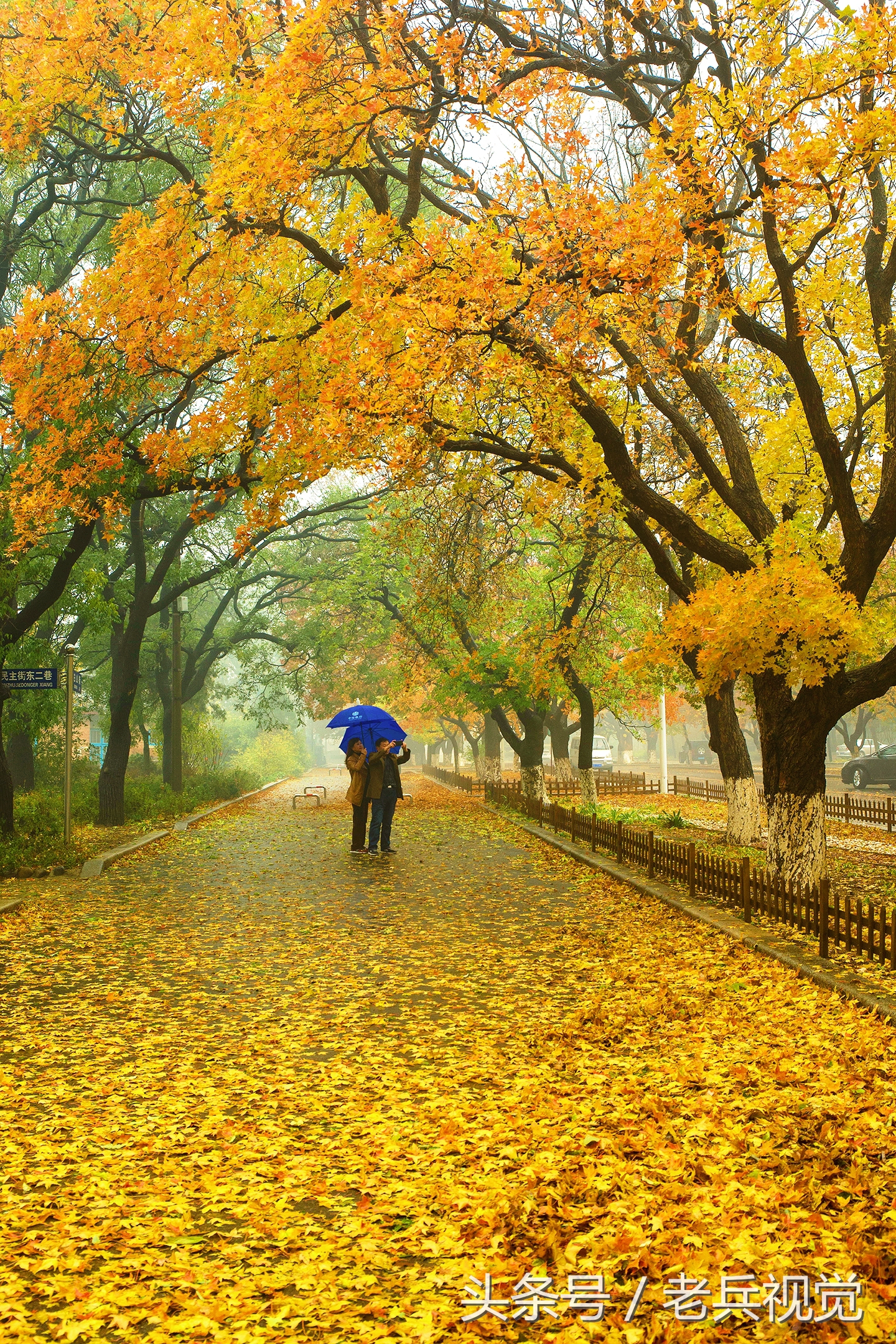 大连的秋天,大连附近秋天值得去的城市