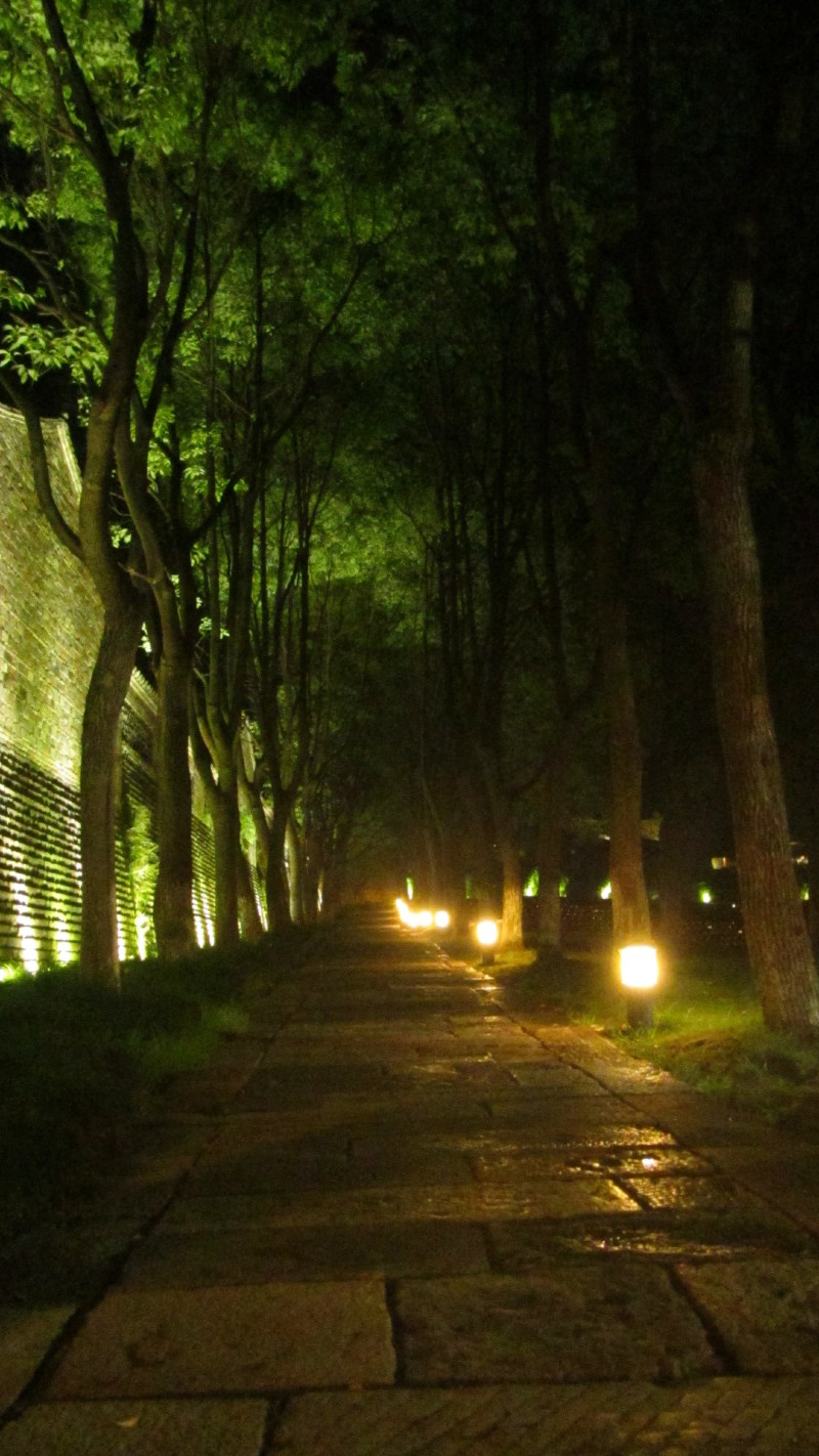 苏州西塘乌镇二日游团从杭州出发,苏州西塘乌镇二日一夜