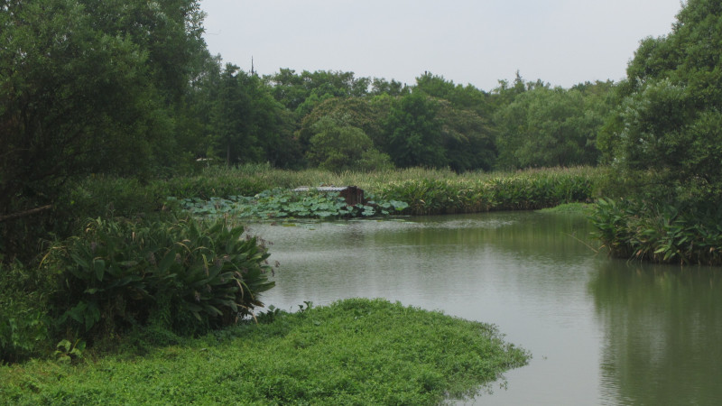 苏州西塘乌镇二日游团从杭州出发,苏州西塘乌镇二日一夜