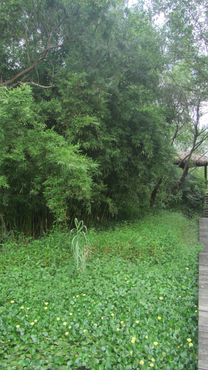 苏州西塘乌镇二日游团从杭州出发,苏州西塘乌镇二日一夜