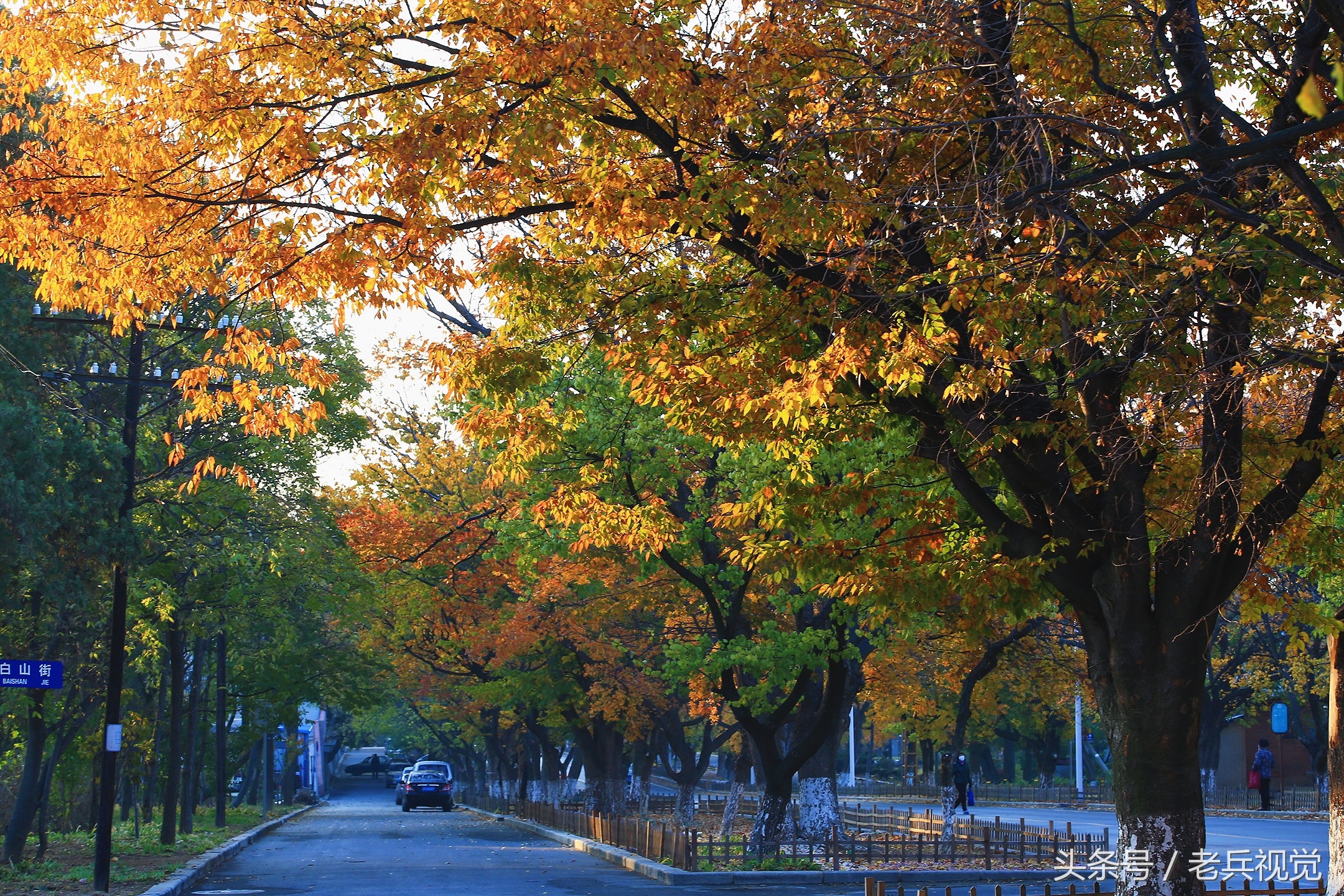 大连的秋天,大连附近秋天值得去的城市
