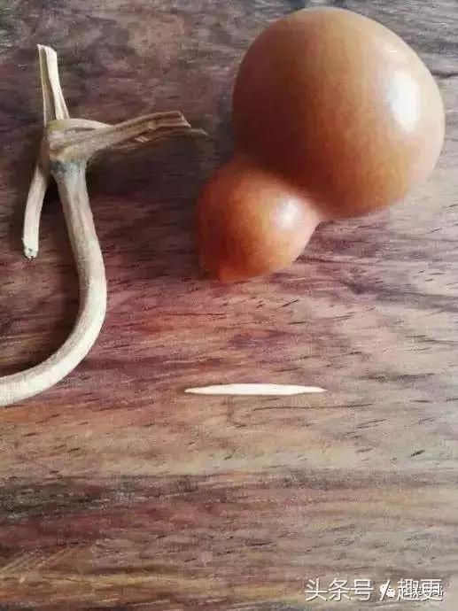 葫芦老掉龙头怎么办,葫芦的龙头快掉了怎么办