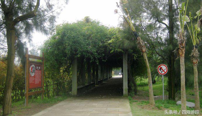 浙江玉环漩门湾国家湿地公园灯光,浙江玉环漩门湾湿地公园拍鸟