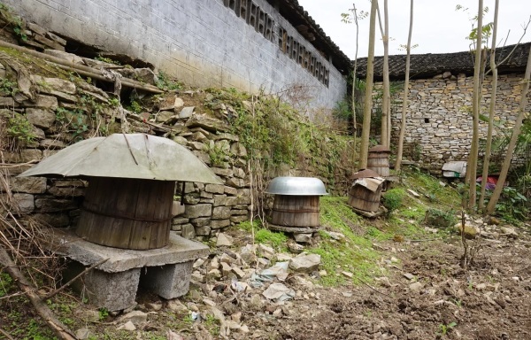 蜂蜜怎么买才是正宗,怎么购买真正的蜂蜜