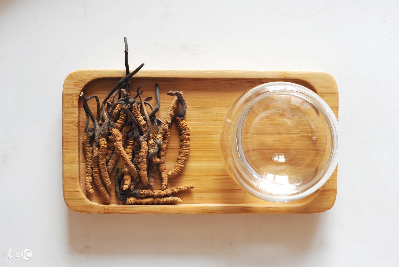 冬虫夏草真的很补身体吗,冬虫夏草炖什么汤最补