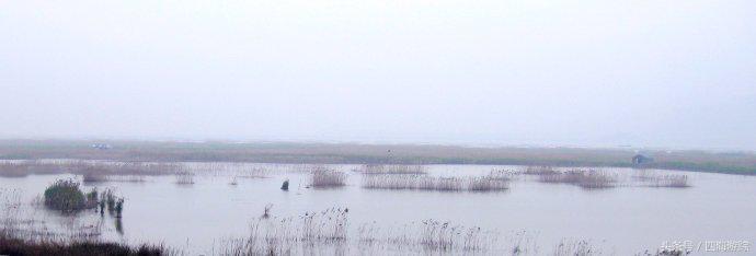 浙江玉环漩门湾国家湿地公园灯光,浙江玉环漩门湾湿地公园拍鸟